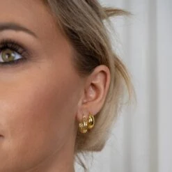 Ornament Circle Ohrringe -Meinekette Verkäufe OR6080Modelfoto.xxx 1dd4e424 c91a 480f bfa7 dcee39ce6797